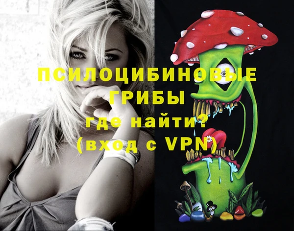 гашик Медногорск