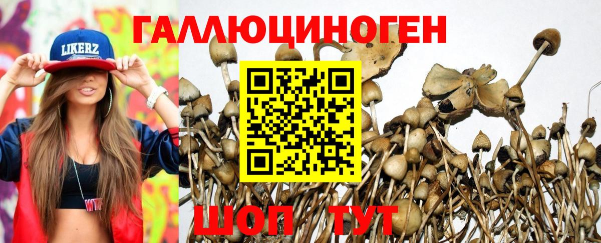 Галлюциногенные грибы Psilocybine cubensis  Псилоцибиновые грибы мицелий  Вход с VPN  Югорск 